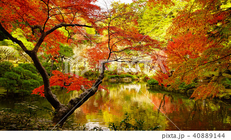 成田山 紅葉の写真素材