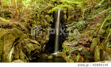成田山・滝 40889146