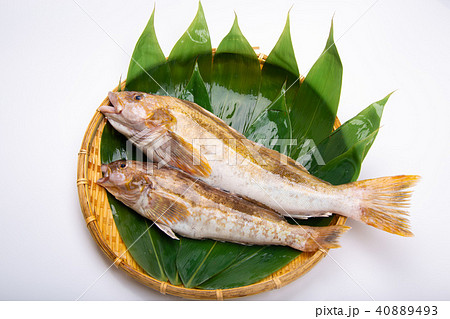 アイナメ 食材 アイナメ 食材 40889493