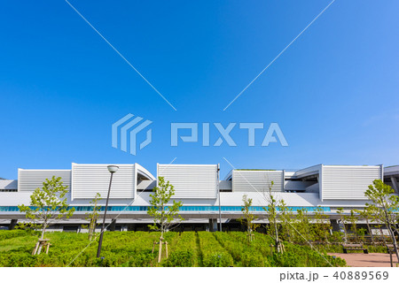 豊洲市場 40889569
