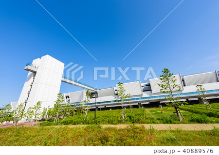 豊洲市場 40889576