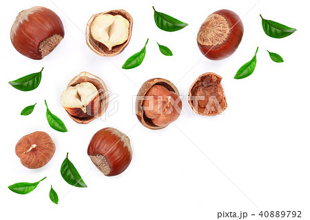 Hazelnuts with leaves with copy space for your text isolated on white background. Top view. Flat lay 40889792