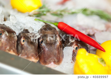 Fish with vegetables on ice. Fish with vegetables on ice. 40889997