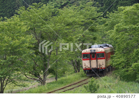 いすみ鉄道キハ52+キハ28 いすみ鉄道キハ52+キハ28 40890577
