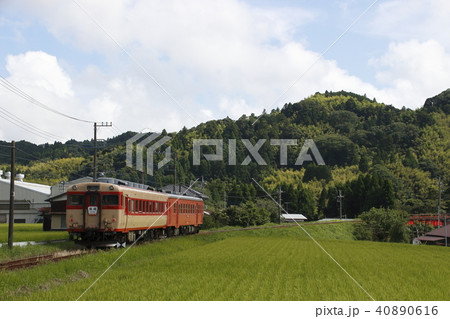 いすみ鉄道キハ52+キハ28 いすみ鉄道キハ52+キハ28 40890616