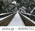 雪の吊り橋 40890722