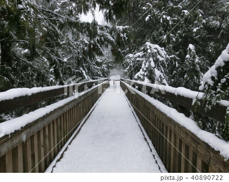 雪の吊り橋 40890722