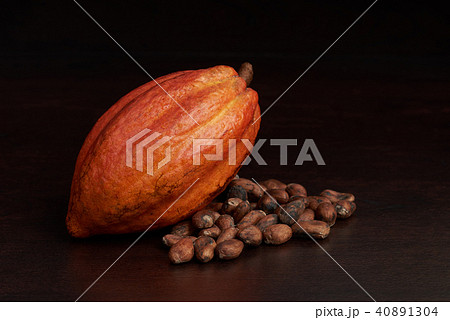 Cacao fruit pod 40891304