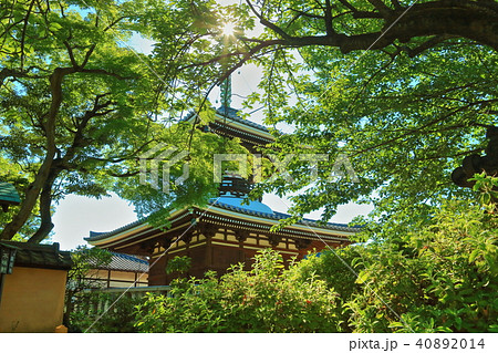 護国寺　多宝塔 40892014