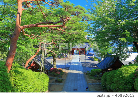 護国寺　仁王門 40892015