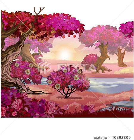Fairy forest with pink trees. Fantasy nature. Vector illustration. Fairy forest with pink trees. Fantasy nature. Vector illustration. 40892809