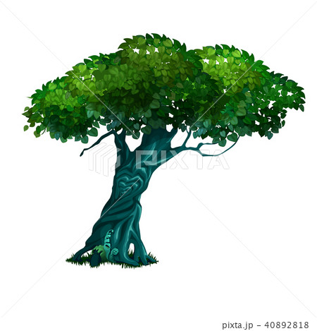 Lonely old deciduous tree isolated on white background. Vector cartoon close-up illustration. Lonely old deciduous tree isolated on white background. Vector cartoon close-up illustration. 40892818