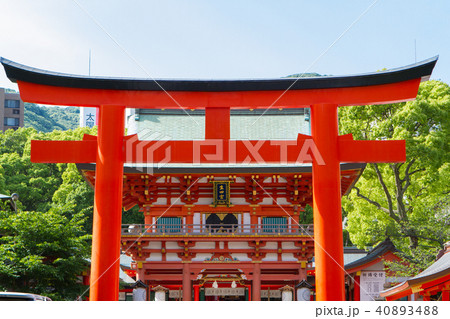神戸、生田神社 40893488