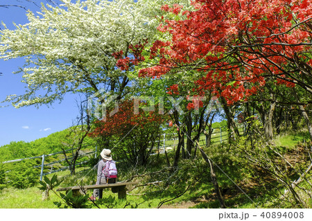 横根高原 横根高原 40894008