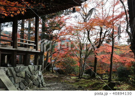 栖賢寺 栖賢寺 40894130