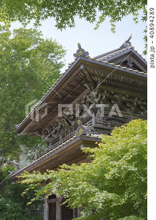 英勝寺の山門（鎌倉市扇ガ谷） 40894289