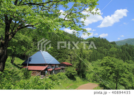 信州小谷村　初夏の山里 40894435