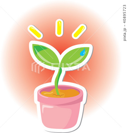 植木鉢 鉢 芽のイラスト素材