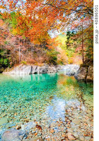 阿寺渓谷(11月) 阿寺渓谷(11月) 40896501