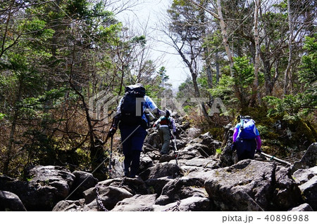 蓼科山　山頂直下の岩場 40896988