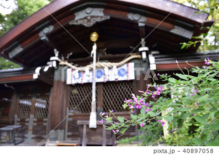 梨木神社　本殿 40897058