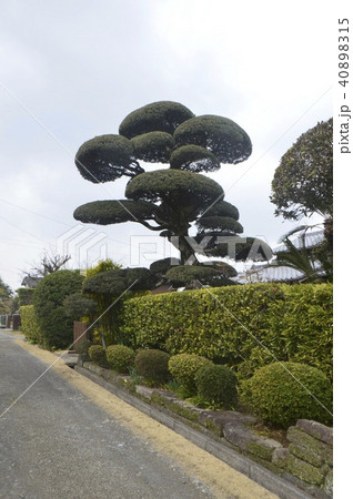 出水麓武家屋敷群（鹿児島県出水市麓町） 40898315