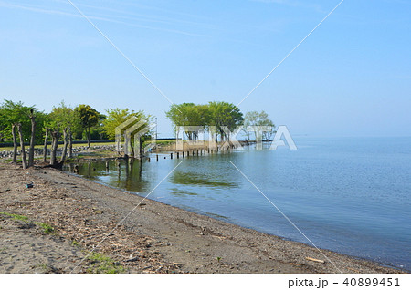 琵琶湖 湖畔の風景（滋賀県長浜市公園町） 40899451