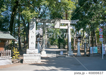 東京都 調布市 布多天神社(ふだてんじんしゃ) 鳥居 東京都 調布市 布多天神社(ふだてんじんしゃ) 鳥居 40899637