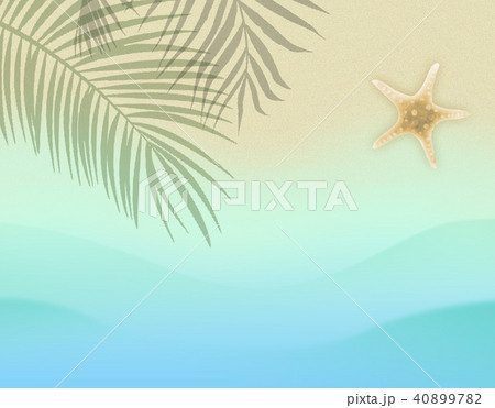 モンステラ プルメリア 椰子の葉 リゾート 南国 フレーム 癒し ハワイのイラスト素材 4097
