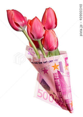 Funny gift, bouquet of red tulip flowers in money Funny gift, bouquet of red tulip flowers in money 40900340