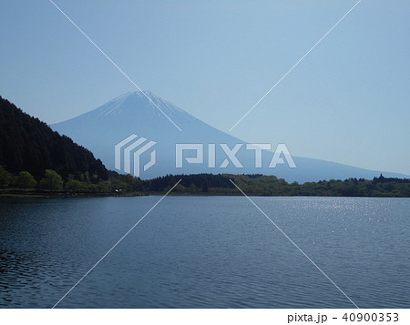 田貫湖からの富士山 早朝 田貫湖からの富士山 早朝 40900353
