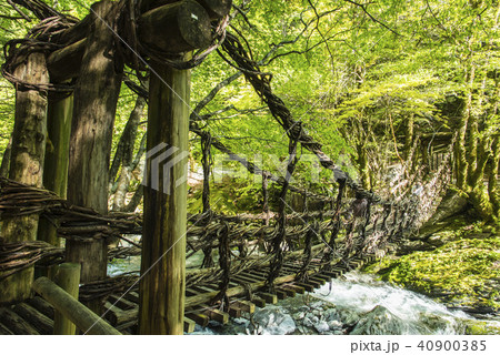奥祖谷二重カズラ橋 40900385
