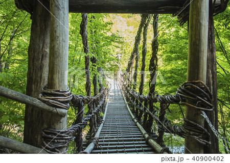 奥祖谷二重カズラ橋 40900402