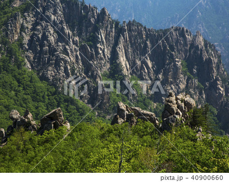 襄陽郡 江原道 書面 40900660
