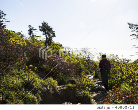 襄陽郡 江原道 書面 40900711