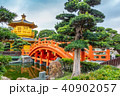 Golden pagoda of Nan Lian Garden park in Hong Kong 40902057