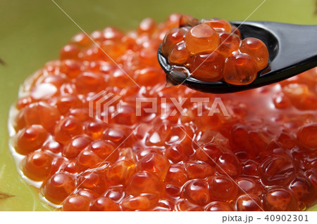 いくら いくら 40902301