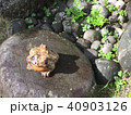 カエルの置物 40903126