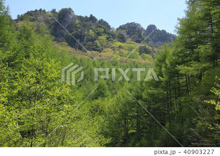 みずがき山自然公園北側の林道から瑞牆山を眺める 40903227
