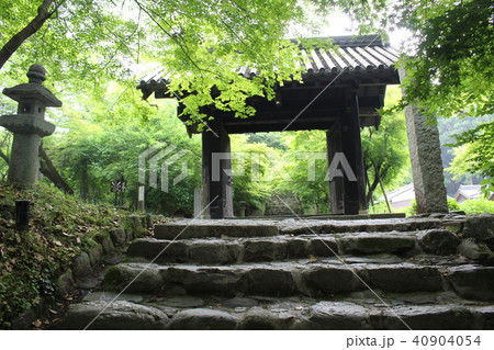 秋月城址 黒門 朝倉市 福岡県 九州の写真素材