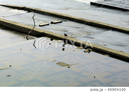 菊池川白石堰河川 菊池川白石堰河川 40904100