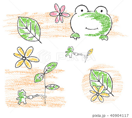 カエル カエル 40904117