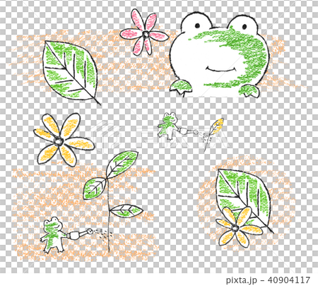 カエル カエル 40904117