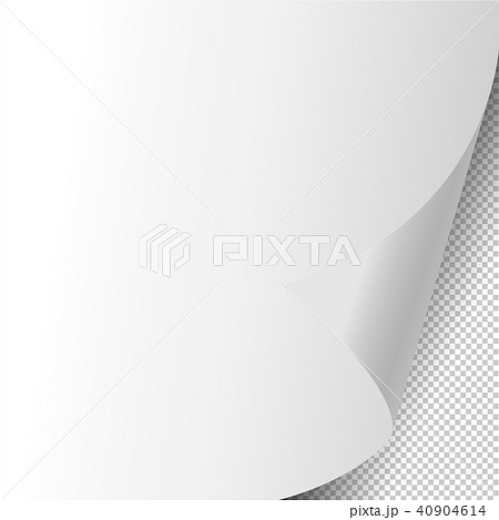 Vector of curled corner paper 40904614