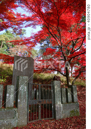 秋の南湖公園（白河市・福島県） 40904780