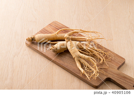 朝鮮人参 朝鮮人参 40905106