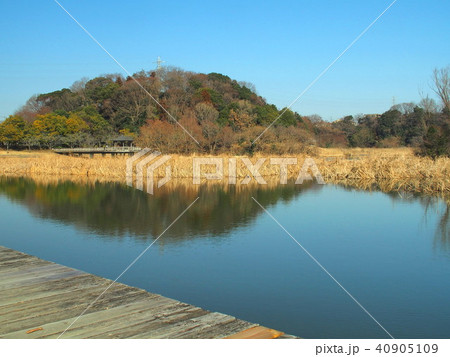 冬の千駄堀池風景 40905109