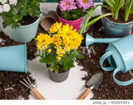Picture of soil, watering can, flower pot, shovel, rake 40905901