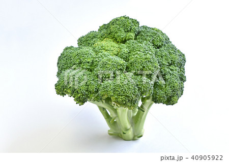 ブロッコリー ブロッコリー 40905922