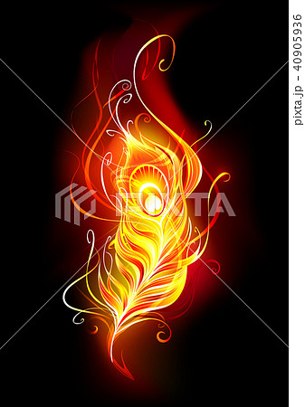 Fire peacock feather 40905936